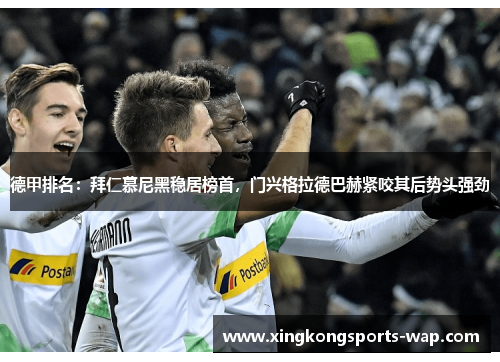 德甲排名：拜仁慕尼黑稳居榜首，门兴格拉德巴赫紧咬其后势头强劲