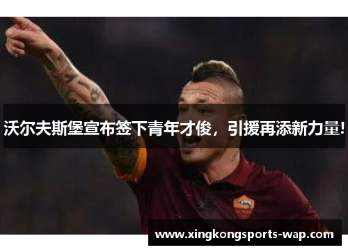沃尔夫斯堡宣布签下青年才俊，引援再添新力量!